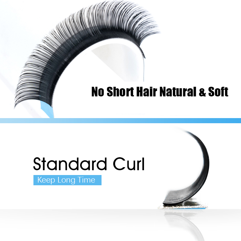 MASSAKU 클래식 정사이즈 속눈썹 익스텐션, 개별  - Eyelash Extension Natural Classic 리뷰 및 가격