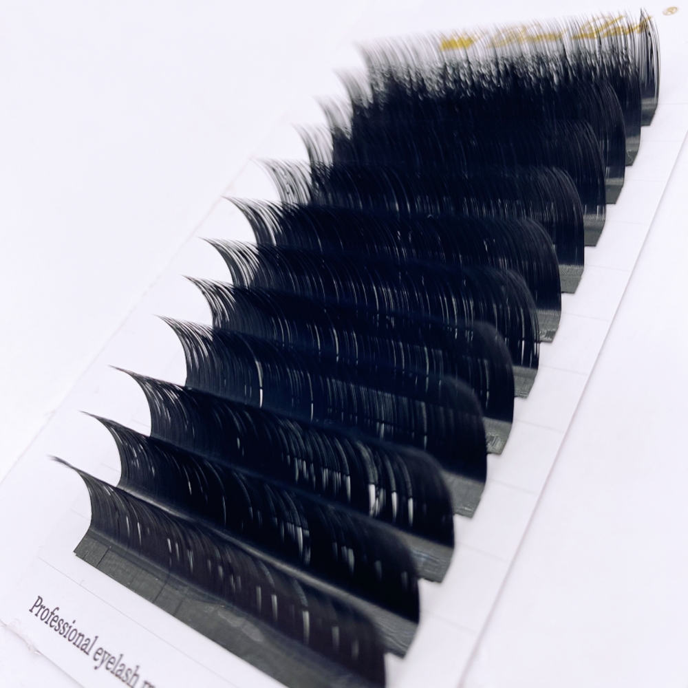 LB LC 컬 Cmmellia 쉬운 선풍기 인조 속눈썹 - Eyelash Extension Natural Classic 리뷰 및 가격