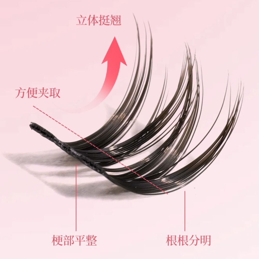 눈을 크게 보이게 하는 DIY 분할형 속눈썹 세트 다양 - Eyelash Extension Anime Style 리뷰 및 가격
